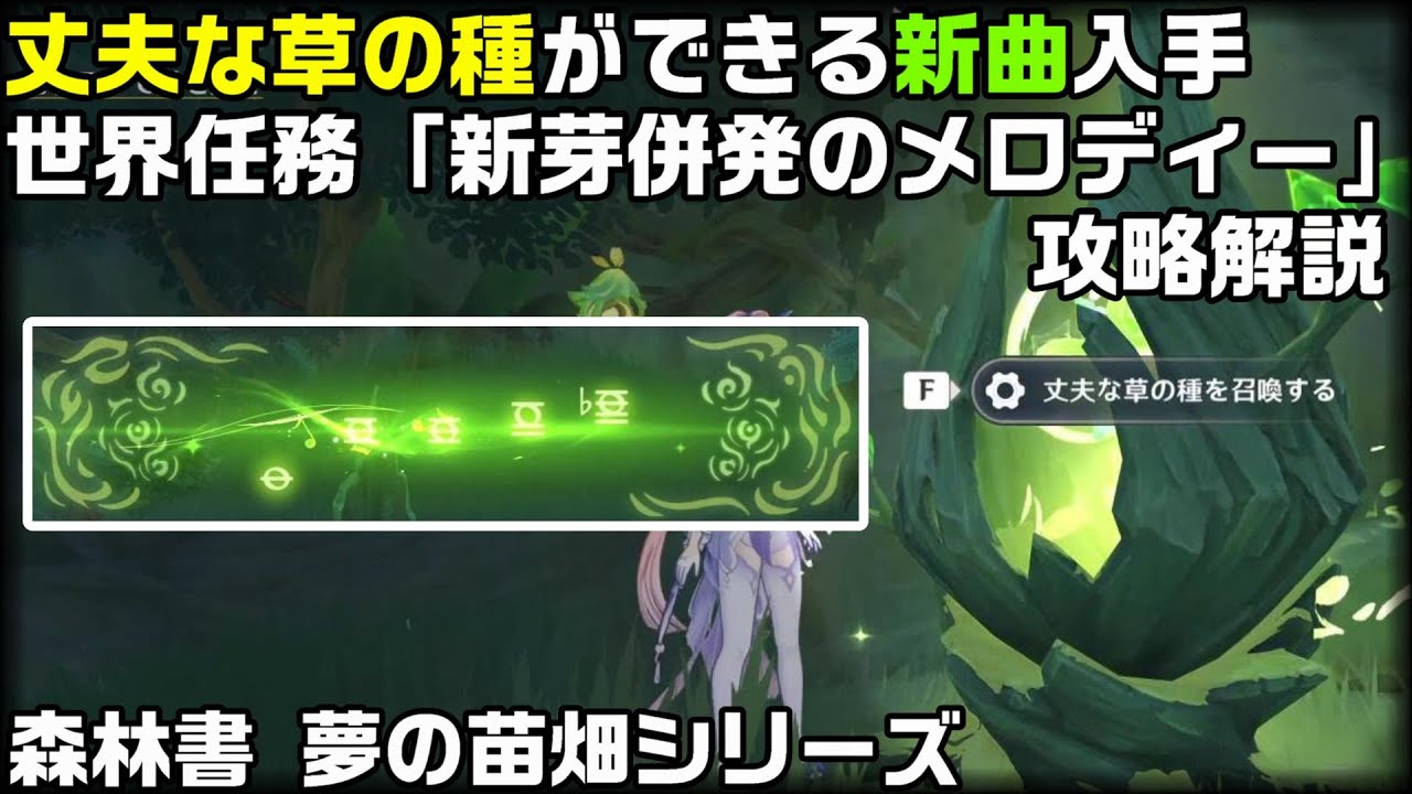 原神 世界任務 新芽併発のメロディー 攻略解説 空の草の種を復活させる新曲入手 スメール攻略解説 原石集め Youtube