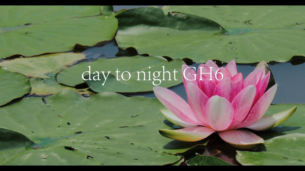 day-to-night-lumix-dc-gh6-12-100mm-f4-0-is-pro-nokton-10-5mm-f0-95-2023