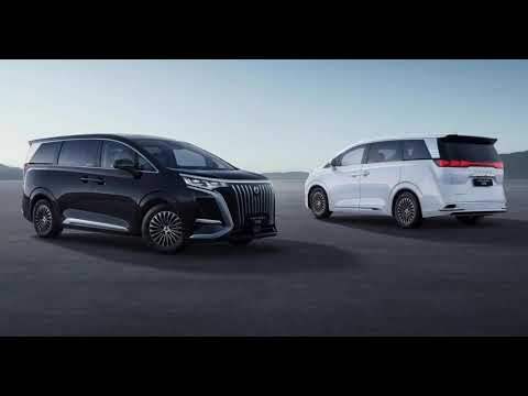 Chinesische Elektrofahrzeugmarken überschwemmen den australischen Markt mit Luxus-People-Movern