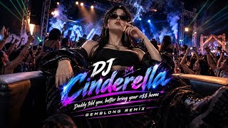 DJ CINDERELLA | DADDY TOLD YOU BRING BETTER A$$ HOME | GEMBLONG REMIX
