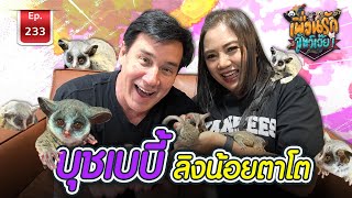 Bush baby บุชเบบี้ ลิงน้อยตาโต I เพื่อนรักสัตว์เอ๊ย Ep.233