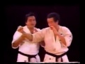 Ashihara karate short distance fighting