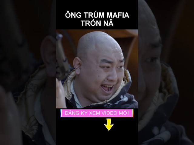 Ông trùm mafia trốn nã và cái kết #shorts phim hành động 2024