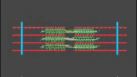 How a muscle contraction is signalled - Animation