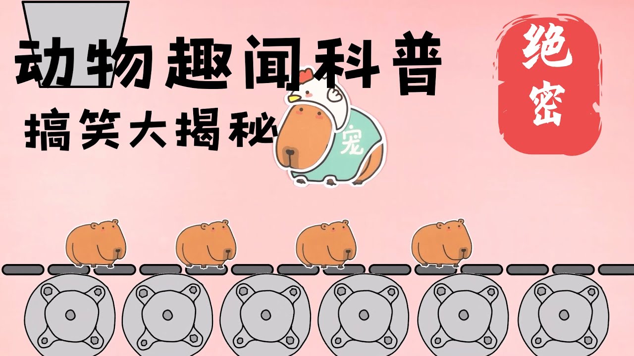 如果水豚上幼儿园...泡澡小能手？食物分享家？【毛茸茸的星球】