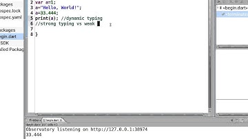 04 Learn to Program in Dart:  Dynamic Typing