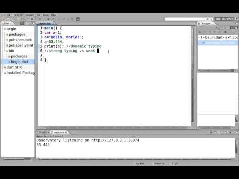 04 Learn to Program in Dart:  Dynamic Typing