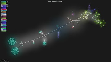 zyronon/TypeWords - Gource visualisation