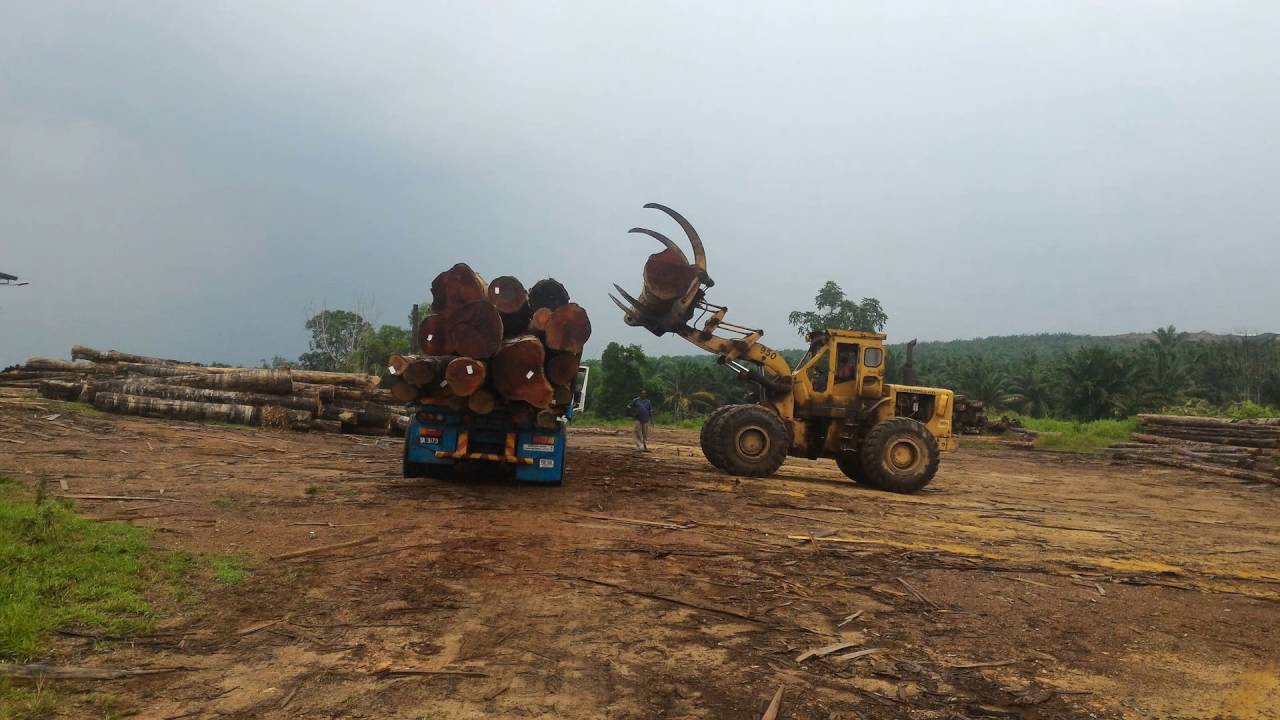 Merbau logs from Aathav Resources Sdn Bhd - YouTube