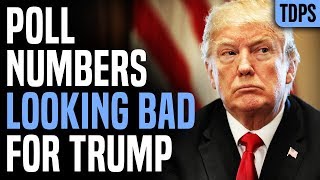 Absolutely DEVASTATING Numbers for Trump