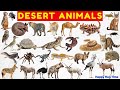 30 Desert Animals That Will Surprise and Amaze You! 🦊🐪 | Fun Facts for Kids