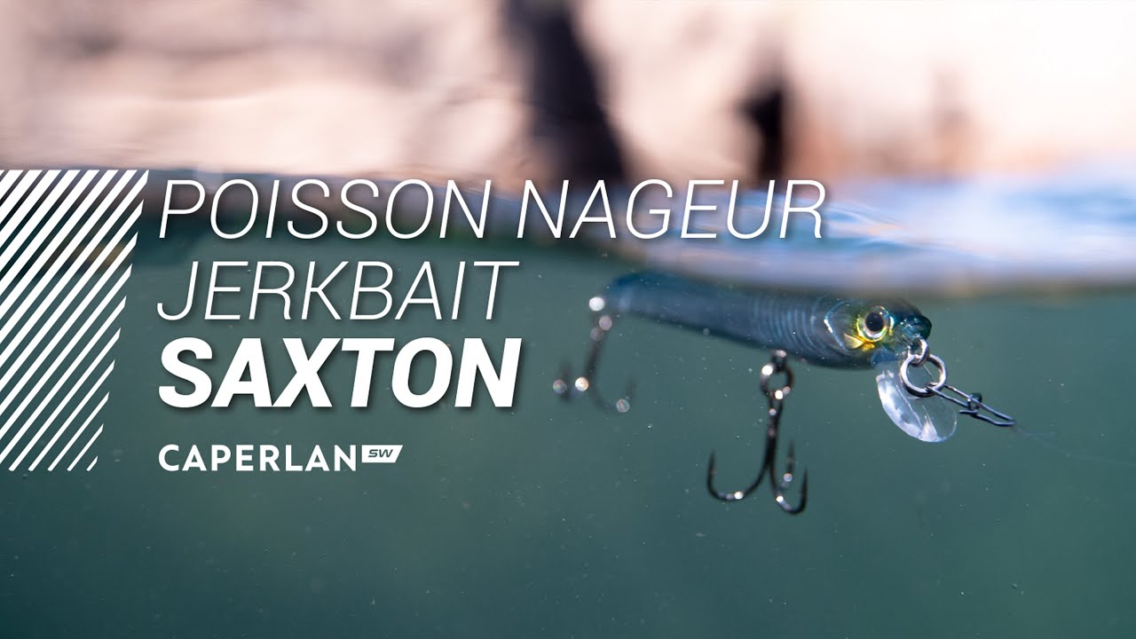 POISSONS NAGEURS | JERKBAIT SAXTON | CAPERLAN SW