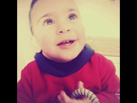 جورج الراسي انت الوجود علي 