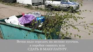 Пушкин ни при чём