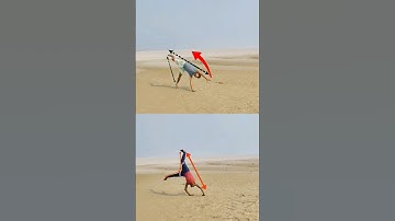 Step by step round off side flip tutorial 👈 #viralreels #shortsfeed #stunt #ligerflipper0x