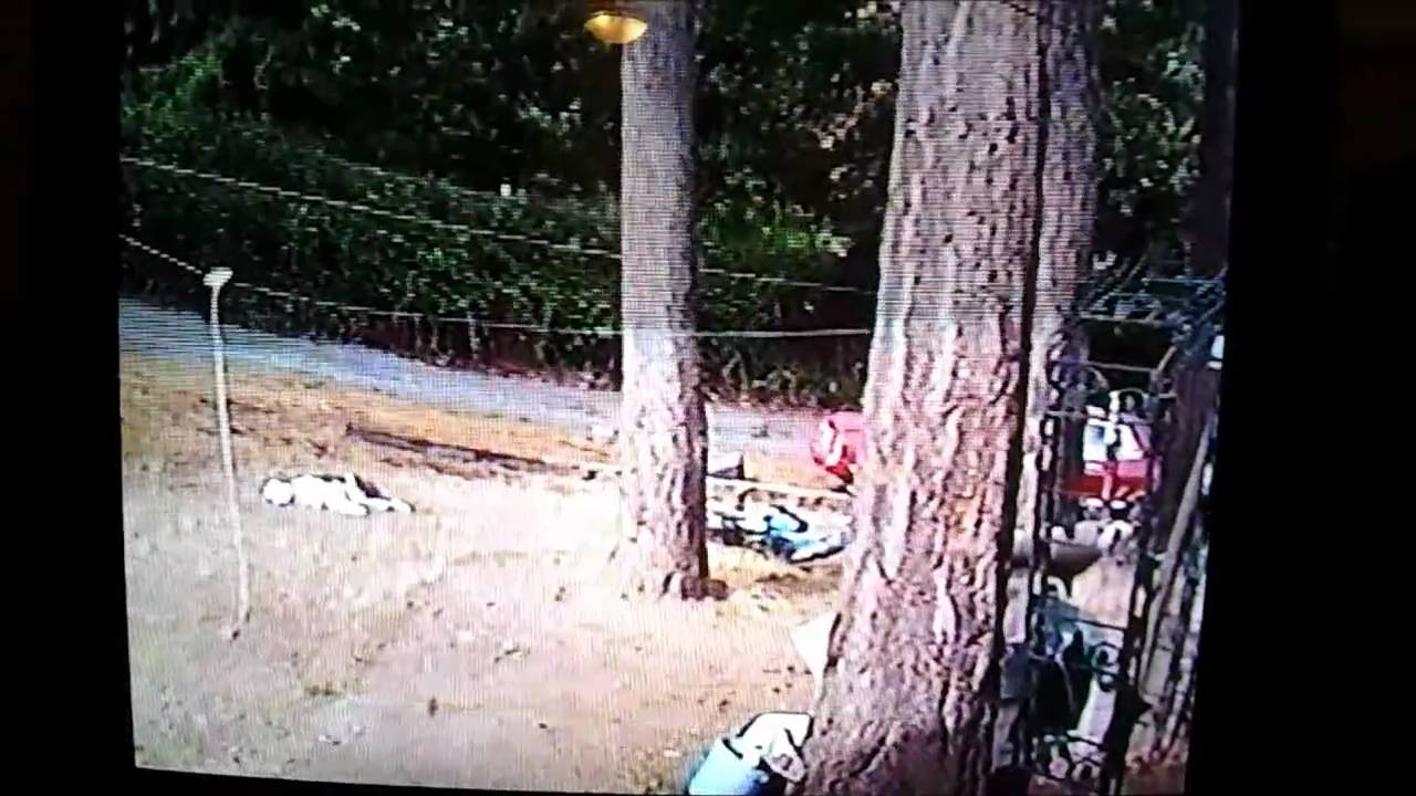 Shopping Cart Jump YouTube