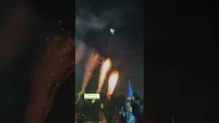 Tinkerbell’s flight over MK during Fireworks, has a plan B 😱 #disneyworld #disneyparks