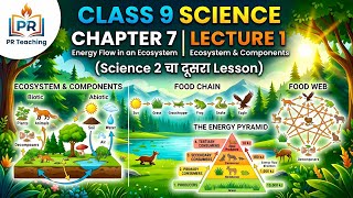 Class 9 | Science | Chapter 7 | Energy Flow in an Ecosystem | Lecture 1