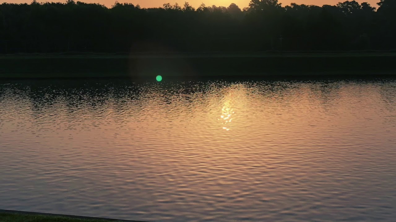 Distance Release Date