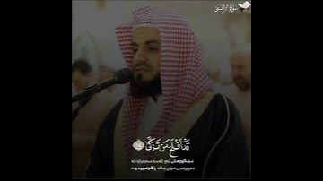 رعدالكردي خشوع من سورة الاعلي😍