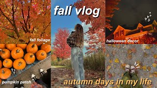 fall days in my life 👻 🎃 pumpkin patch, cozy october days, concert, \& halloween lights