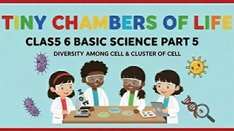 എളുപ്പവഴിയിളുടെ പഠിക്കാം 💥CHAPTER 6 TINY CHAMBERS OF LIFE CLASS 6 BASIC SCIENCE #basicscienceclass6