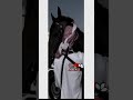 شيله حزينه انسه ونسه ذكرا شيله حزينه انسه ونسه ذكرا