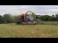 Mas Silage trailer, the first load