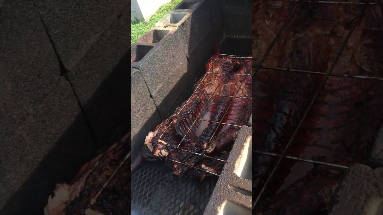 Jeff's 2nd pit smoked whole hog - YouTube
