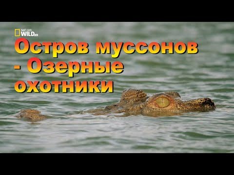 Nat Geo Wild: Остров муссонов - Озерные охотники.
