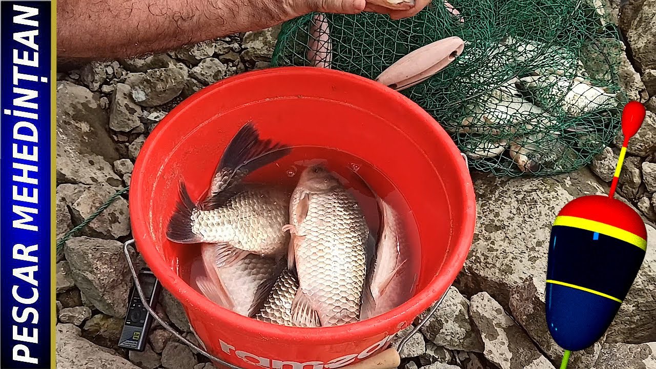 Pescuit pe Clisura Dunării. 15-16/APR/2024