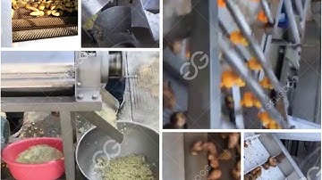 Ginger Shred Machine Ginger Process Line For Ginger Washing Peeling Slicing Jucing Process
