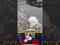 Así se despidió Bruno de lcdlf