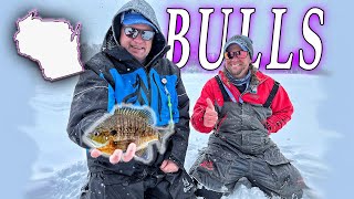 Ice Fishing Big Bluegills | Wisconsin
