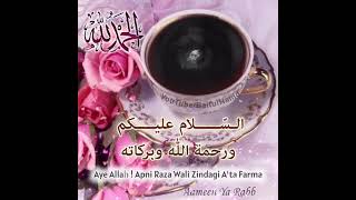 Salam Video GIF |Subah Bakhair Good Morning Alhamdulillah Pinterest/BaitulHamd more beautiful images