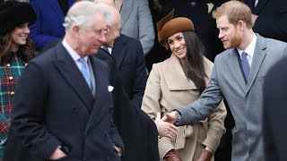 Royal Family likely ‘thrilled’ Harry and Meghan stepped back as royals