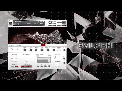 Talking Basslines with Evilfish 303