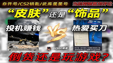 【CS2】“皮肤”还是“饰品”投机品和自己玩的饰品有什么区别？