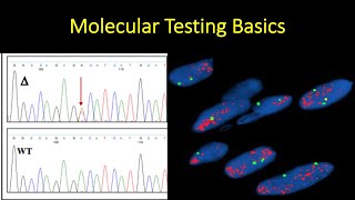 Molecular Testing Basics in 15 minutes (molecular pathology FISH NGS Next Gen cancer genetics DNA)