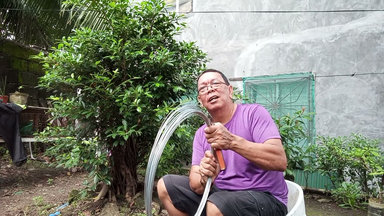 lalagyan natin ng kawad ang bonsai natin