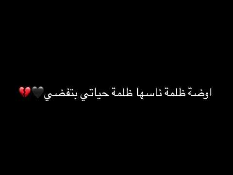 مهرجان بطة يابطة غناء سامر المدني احمد عبده 