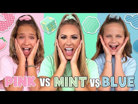 PINK ? VS MINT ? VS BLUE ❄️ FIDGET SHOPPING CHALLENGE!