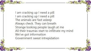 Video thumbnail of "Babylon Zoo - I'm Cracking up I Need a Pill Lyrics"