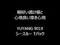 【程好い透け感と心地よい穿き心地　メンズTバック】YUYANG2019