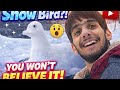 DAY 6 OF VLOGGING IN KASHMIR. MAKING A BIRD  🕊️ BY USING SNOW 🌨️❄️ LOVELY 😍 @BEGINNING,,,GAMERS...