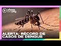 ALERTA: récord de casos de dengue #TodoPasa