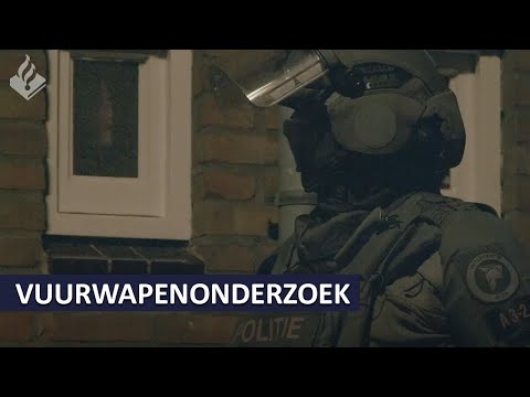 Politie | Aanhoudingen en doorzoekingen in Nederland en Tsjechi in vuurwapenonderzoek | DSI | DLR