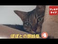 ぽぽとの旅 岐阜(4)