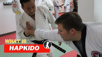 What is Hapkido?