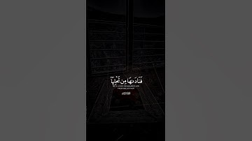 سورة مريم | فناداها من تحتها الا تحزني#شريف_مصطفى